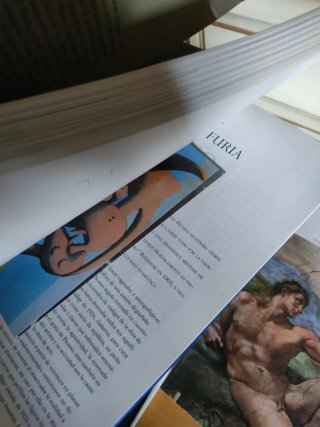 Pack de 12 libros de arte