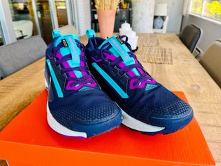 Nike Pegasus Trail 5 Gore-Tex Talla 44.5