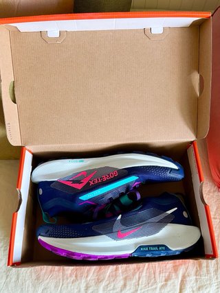 Nike Pegasus Trail 5 Gore-Tex Talla 44.5
