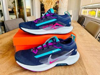 Nike Pegasus Trail 5 Gore-Tex Talla 44.5