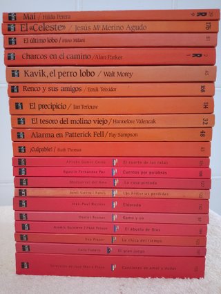 LOTE (VI) 20 LIBROS EL BARCO DE VAPOR (rojos)