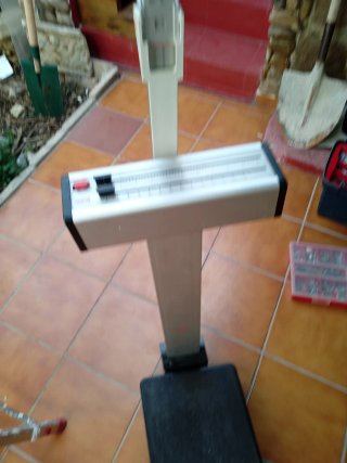 Báscula seca con tallímetro