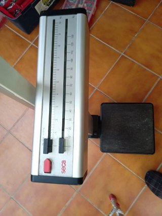 Báscula seca con tallímetro