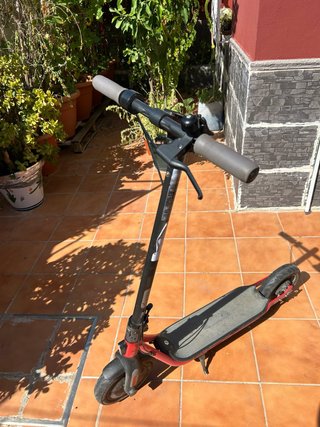 Patín Eléctrico Ninebot/Segway