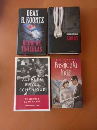 LOTE DE 20 LIBROS