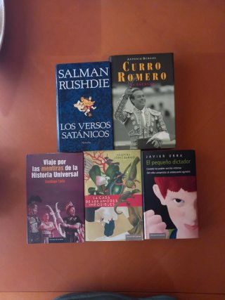 LOTE DE 20 LIBROS