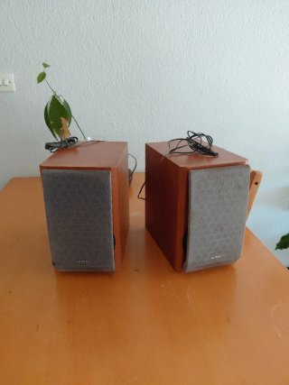 Altavoces Sony 6 Ohms