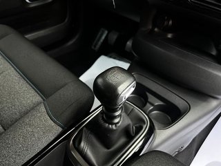 Citroën C4 Cactus Shine 100Cv