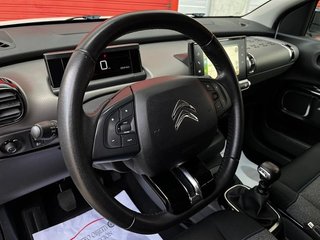 Citroën C4 Cactus Shine 100Cv