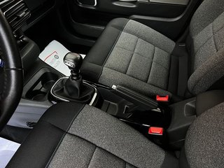 Citroën C4 Cactus Shine 100Cv