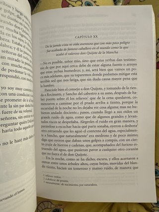 Don Quijote de la Mancha (selección)