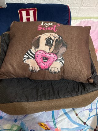 Cama para perro Yommymascotas talla S