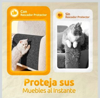 Alfombra Rascador Gatos + Accesorios