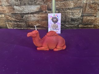 Vela de camello naranja/rojo