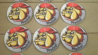 12 Pegatinas Magnat Bulldog
