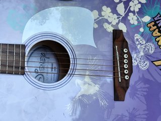 Oportunidad  Guitarra Hannah Montana Morada