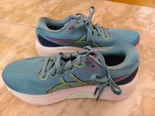 Zapatillas Asics Azules y Rosas