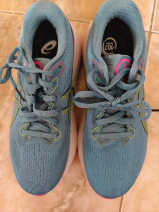 Zapatillas Asics Azules y Rosas