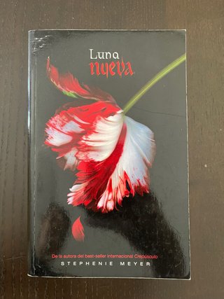 Luna nueva