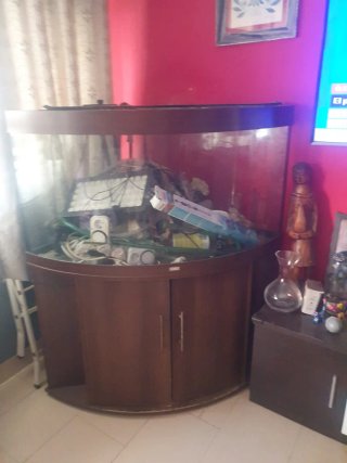 Pecera Juwel Esquinera
