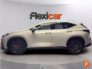 Lexus NX 450h+ Executive 4WD