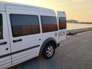 Ford Transit Connect 2008
