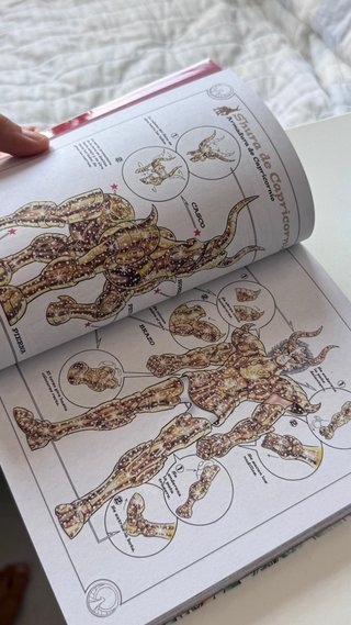 Lote Saint Seiya edición definitiva 1 - 12