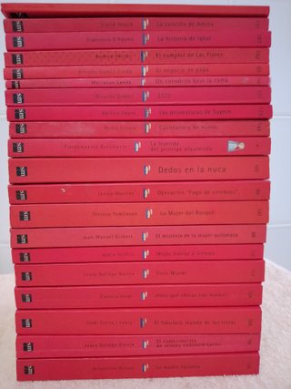 LOTE (V) 20 LIBROS EL BARCO DE VAPOR (rojos)