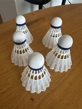 Bolas de bádminton Babolat Tournament