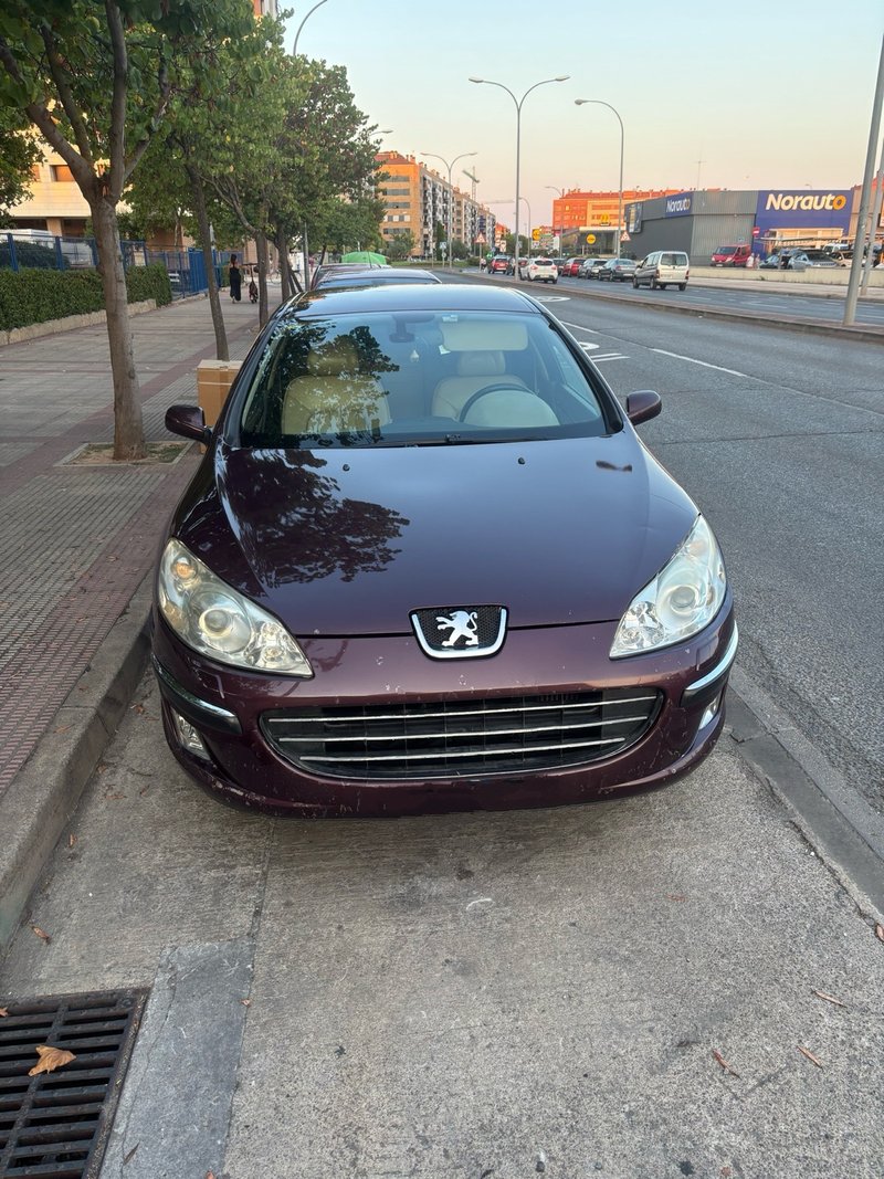 Peugeot 407 2005 - foto 1