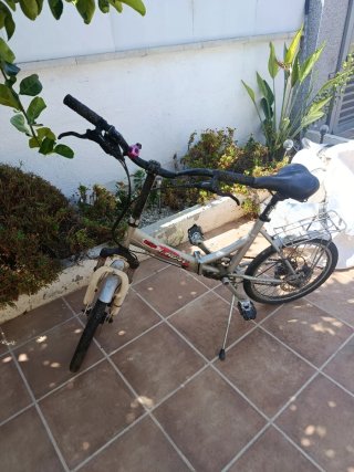Bicicleta Plegable Plata