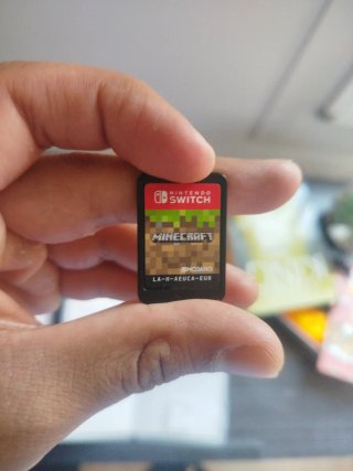 Minecraft Nintendo Switch