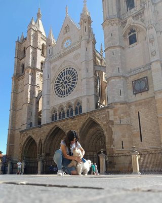Cuidado de mascotas / Paseo de perros