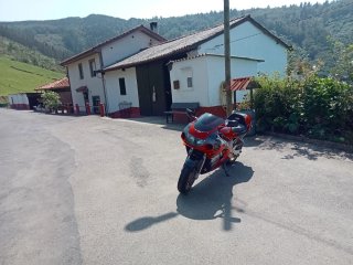 Suzuki GSXR 600 SRAD Roja y Plata