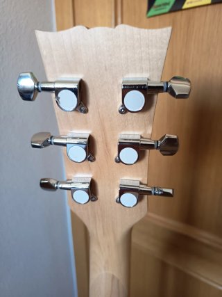 Harley Benton DC ( tipo SG ) Alnico 5, coil-split