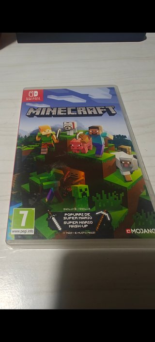 Minecraft Nintendo Switch