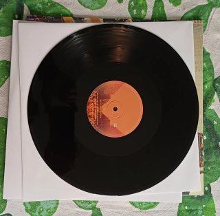 Tame Impala Lonerism Vinile