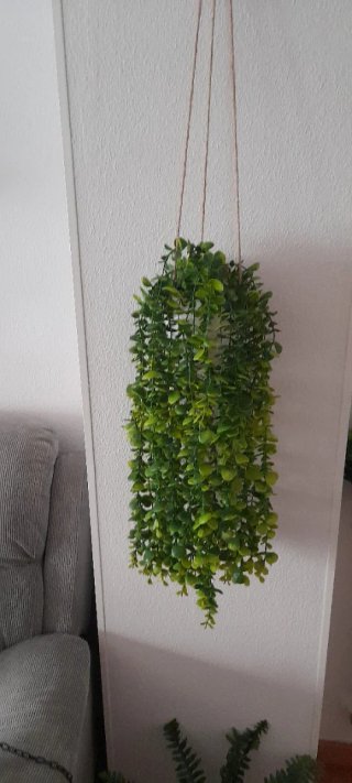 Planta colgante artificial con soga