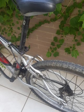 Bicicleta paseo