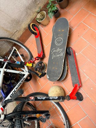 Skate Olsson Brothers