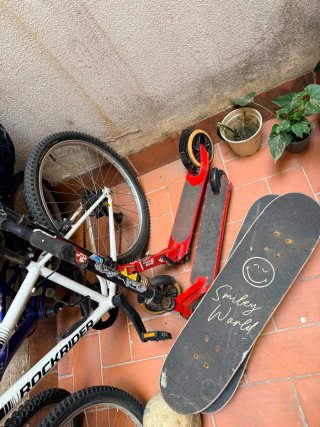 Skate Olsson Brothers