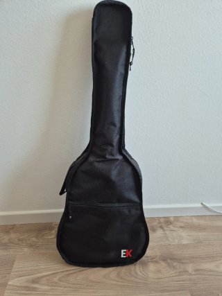 Guitarra clásica Rocío C16 3/4 + funda