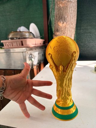 Copa del Mundo 3D Relieve