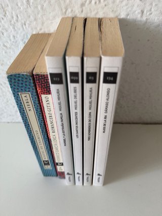 Libros Clásicos de Texto. Austral