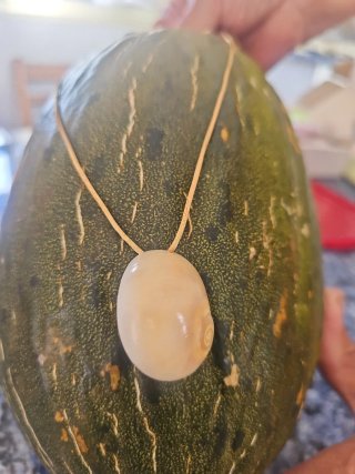 Collar artesanal concha natural
