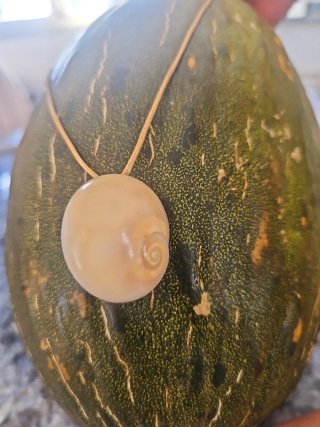 Collar artesanal concha natural