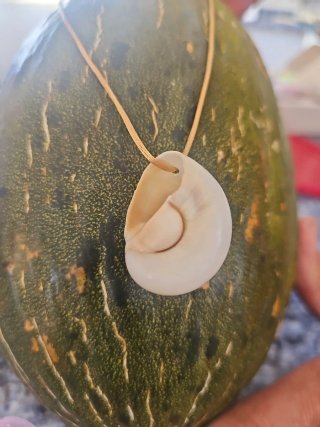 Collar artesanal concha natural