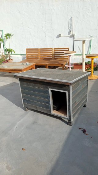 Caseta robusta de madera para perro