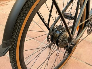 Bicicleta Eléctrica Fiido C21 Urbana