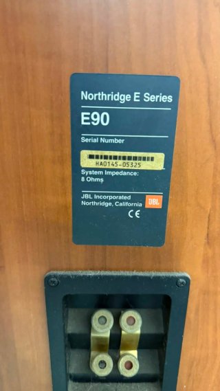 Pareja Altavoces JBL Northridge E90